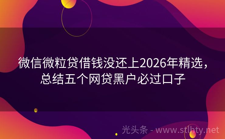 微信微粒贷借钱没还上2026年精选，总结五个网贷黑户必过口子