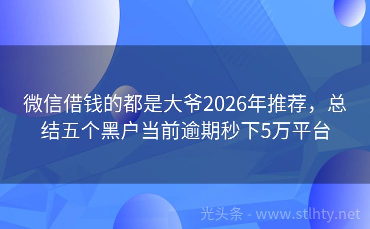 微信借钱的都是大爷2026年推荐，总结五个黑户当前逾期秒下5万平台