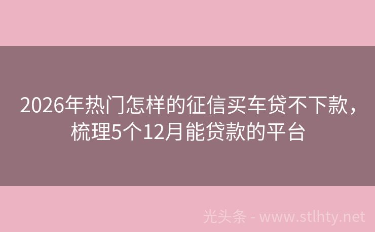 2026年热门怎样的征信买车贷不下款，梳理5个12月能贷款的平台