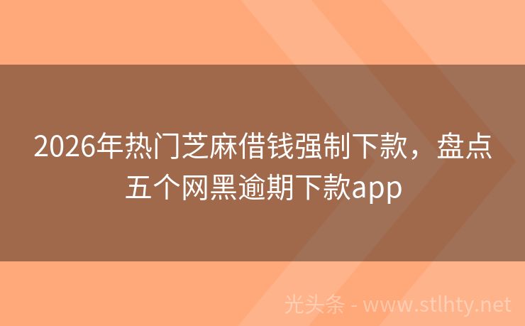 2026年热门芝麻借钱强制下款，盘点五个网黑逾期下款app