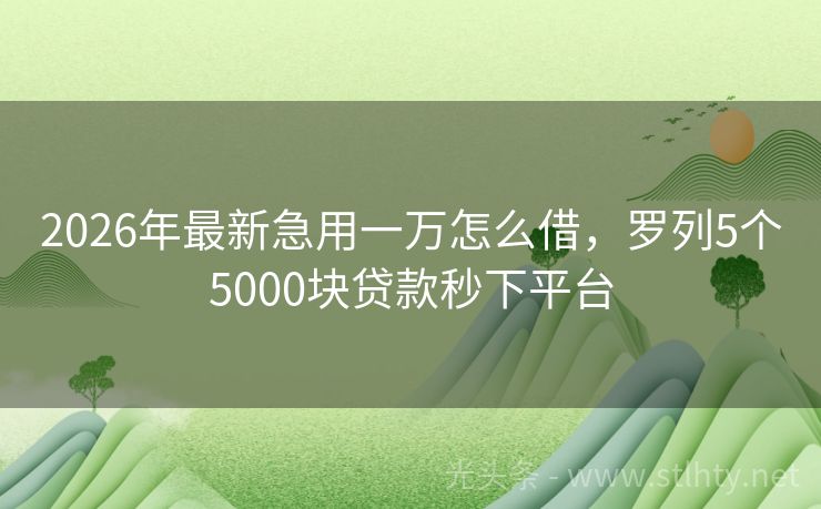 2026年最新急用一万怎么借，罗列5个5000块贷款秒下平台