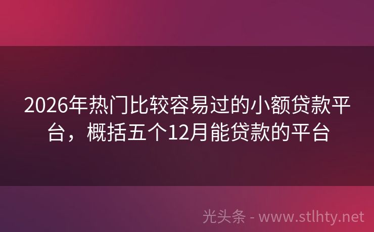 2026年热门比较容易过的小额贷款平台，概括五个12月能贷款的平台