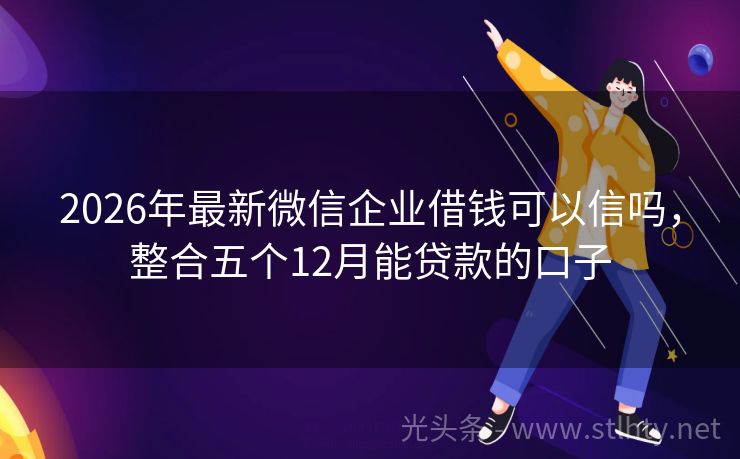 2026年最新微信企业借钱可以信吗，整合五个12月能贷款的口子