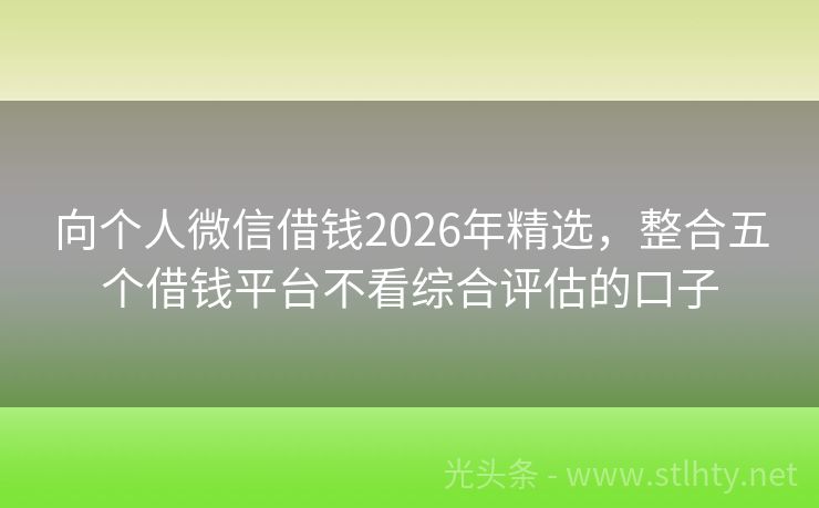 向个人微信借钱2026年精选，整合五个借钱平台不看综合评估的口子