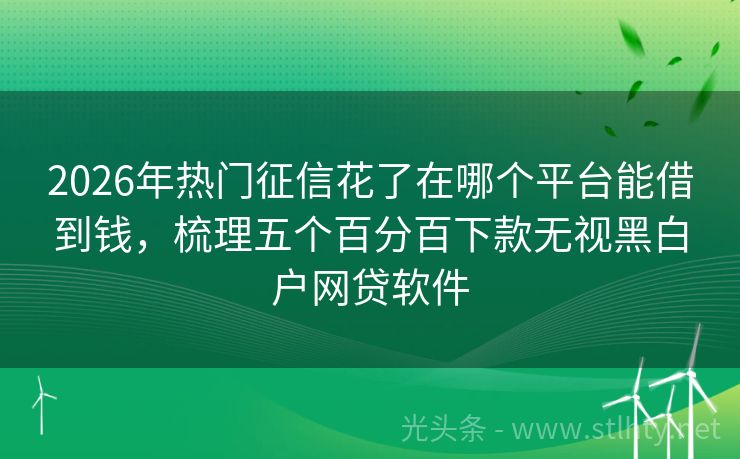 2026年热门征信花了在哪个平台能借到钱，梳理五个百分百下款无视黑白户网贷软件