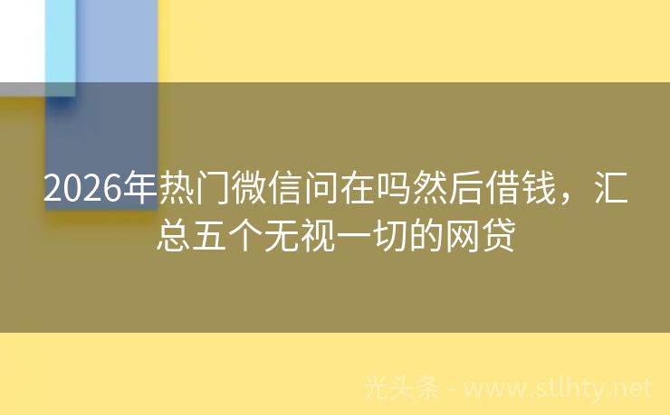 2026年热门微信问在吗然后借钱，汇总五个无视一切的网贷