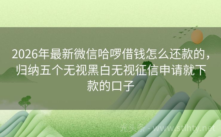 2026年最新微信哈啰借钱怎么还款的，归纳五个无视黑白无视征信申请就下款的口子