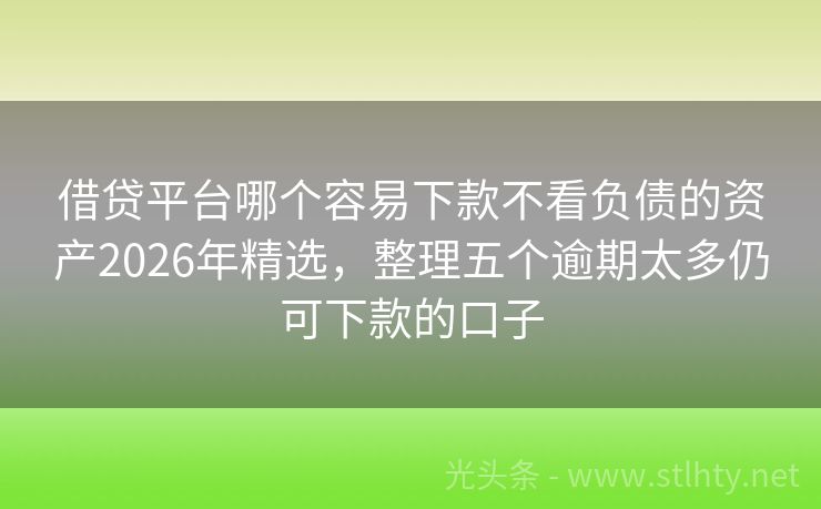 借贷平台哪个容易下款不看负债的资产2026年精选，整理五个逾期太多仍可下款的口子