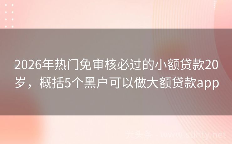 2026年热门免审核必过的小额贷款20岁，概括5个黑户可以做大额贷款app