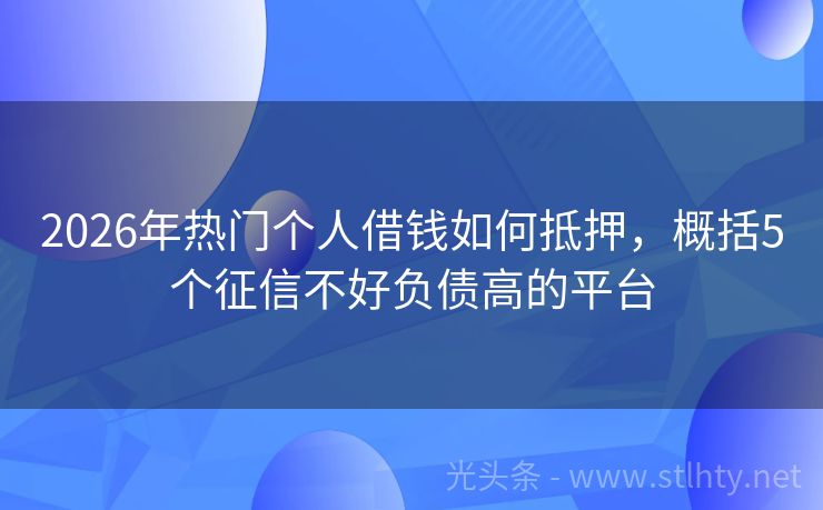 2026年热门个人借钱如何抵押，概括5个征信不好负债高的平台