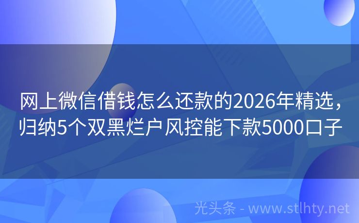 网上微信借钱怎么还款的2026年精选，归纳5个双黑烂户风控能下款5000口子