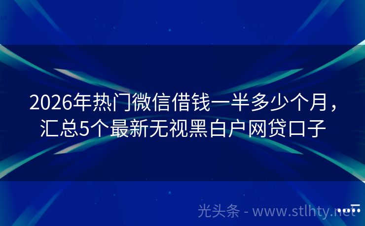 2026年热门微信借钱一半多少个月，汇总5个最新无视黑白户网贷口子