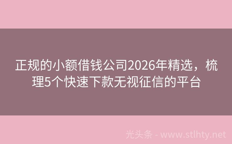 正规的小额借钱公司2026年精选，梳理5个快速下款无视征信的平台