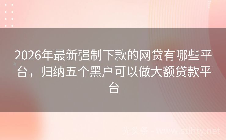 2026年最新强制下款的网贷有哪些平台，归纳五个黑户可以做大额贷款平台