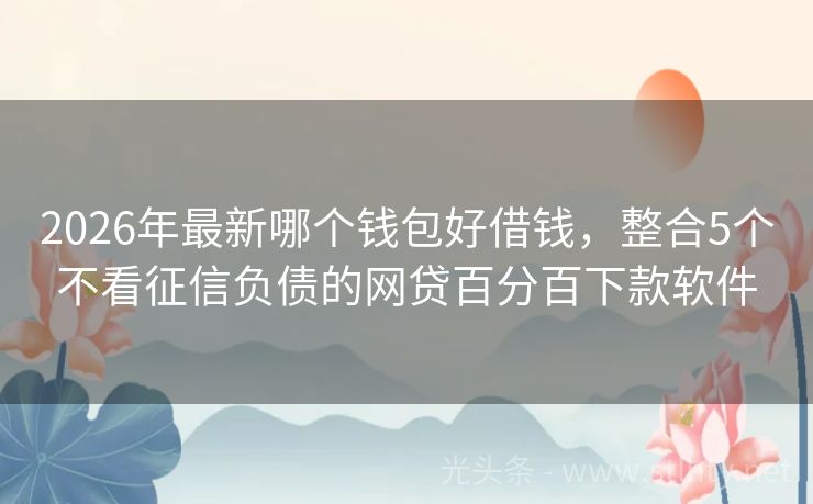 2026年最新哪个钱包好借钱，整合5个不看征信负债的网贷百分百下款软件