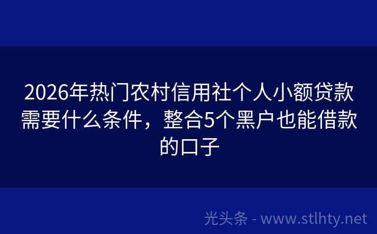2026年热门农村信用社个人小额贷款需要什么条件，整合5个黑户也能借款的口子
