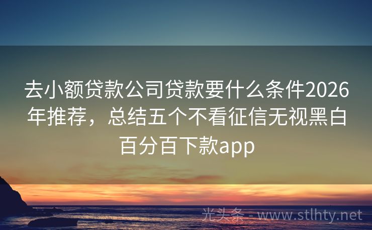 去小额贷款公司贷款要什么条件2026年推荐，总结五个不看征信无视黑白百分百下款app