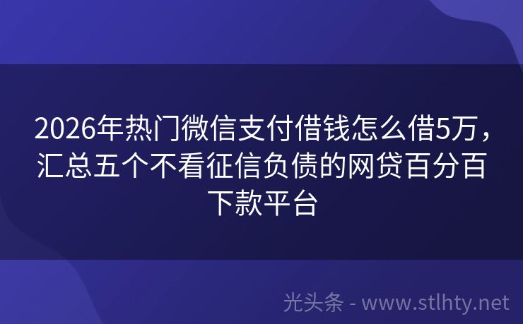2026年热门微信支付借钱怎么借5万，汇总五个不看征信负债的网贷百分百下款平台