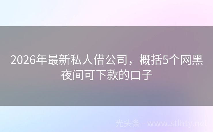 2026年最新私人借公司，概括5个网黑夜间可下款的口子