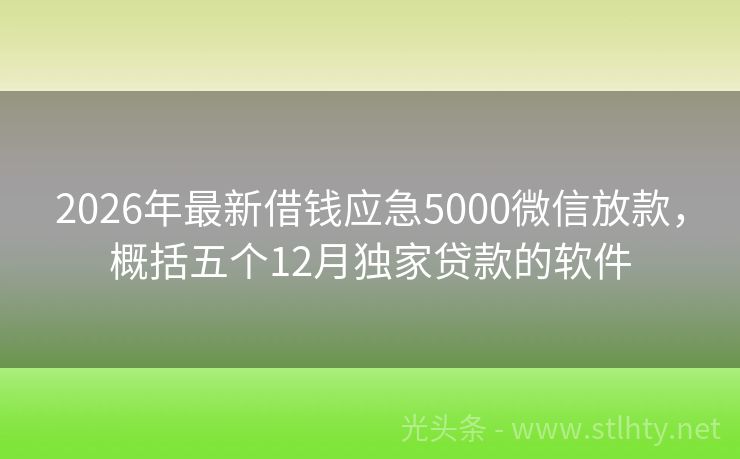 2026年最新借钱应急5000微信放款，概括五个12月独家贷款的软件