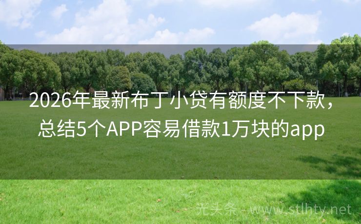 2026年最新布丁小贷有额度不下款，总结5个APP容易借款1万块的app