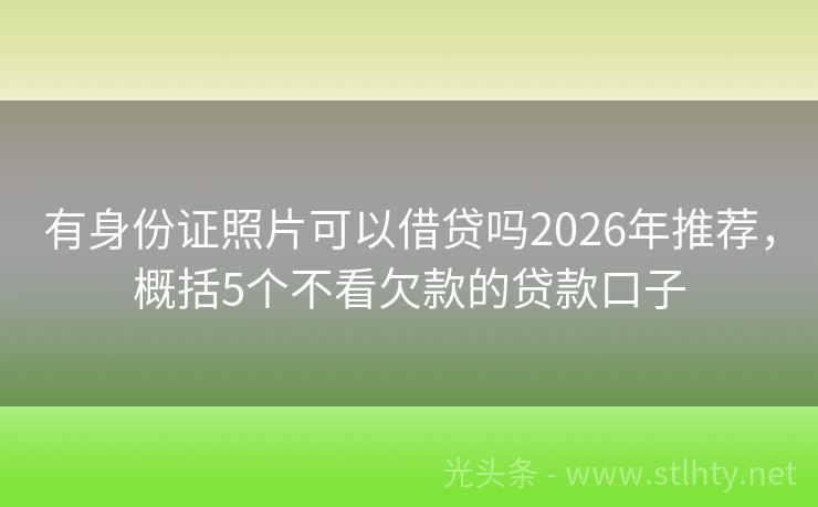 有身份证照片可以借贷吗2026年推荐，概括5个不看欠款的贷款口子