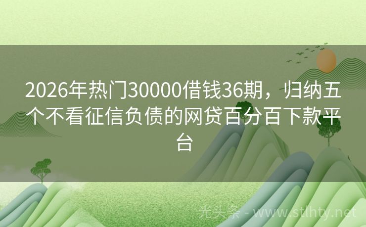 2026年热门30000借钱36期，归纳五个不看征信负债的网贷百分百下款平台