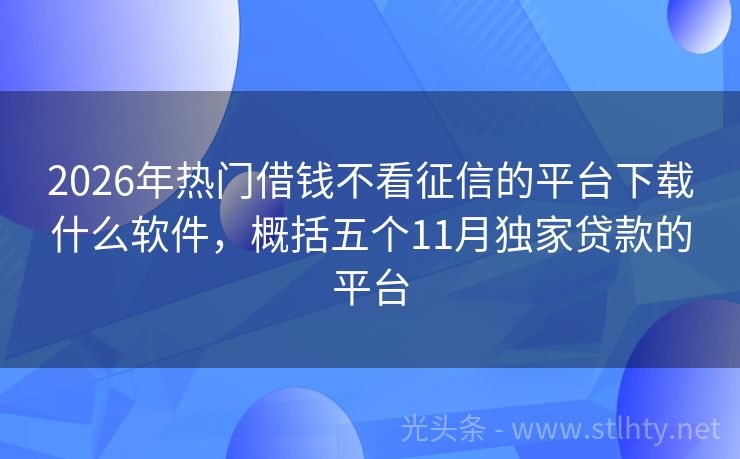 2026年热门借钱不看征信的平台下载什么软件，概括五个11月独家贷款的平台