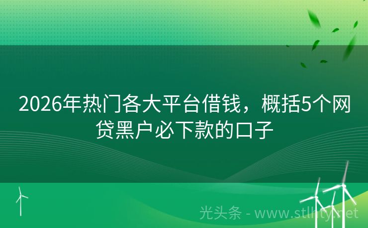 2026年热门各大平台借钱，概括5个网贷黑户必下款的口子