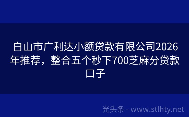 白山市广利达小额贷款有限公司2026年推荐，整合五个秒下700芝麻分贷款口子
