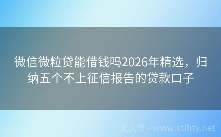 微信微粒贷能借钱吗2026年精选，归纳五个不上征信报告的贷款口子