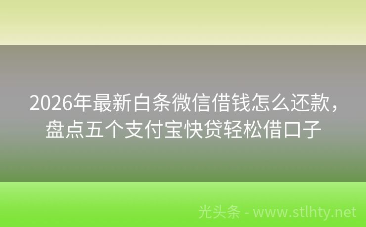 2026年最新白条微信借钱怎么还款，盘点五个支付宝快贷轻松借口子