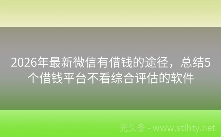 2026年最新微信有借钱的途径，总结5个借钱平台不看综合评估的软件