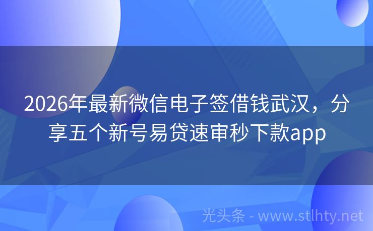 2026年最新微信电子签借钱武汉，分享五个新号易贷速审秒下款app