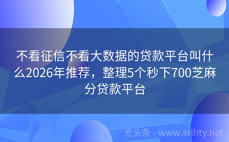 不看征信不看大数据的贷款平台叫什么2026年推荐，整理5个秒下700芝麻分贷款平台