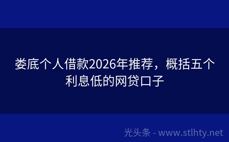 娄底个人借款2026年推荐，概括五个利息低的网贷口子