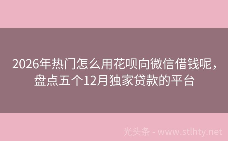 2026年热门怎么用花呗向微信借钱呢，盘点五个12月独家贷款的平台