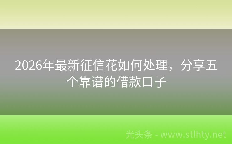 2026年最新征信花如何处理，分享五个靠谱的借款口子