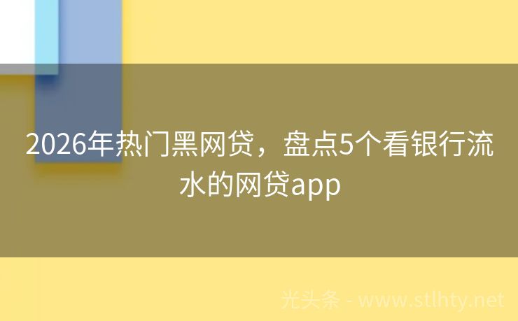 2026年热门黑网贷,盘点5个看银行流水的网贷app