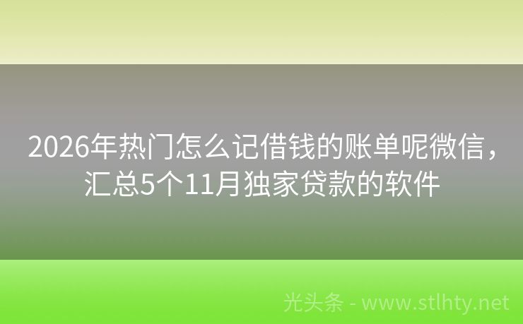 2026年热门怎么记借钱的账单呢微信，汇总5个11月独家贷款的软件