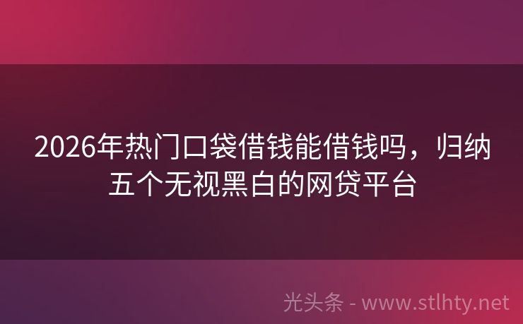 2026年热门口袋借钱能借钱吗，归纳五个无视黑白的网贷平台