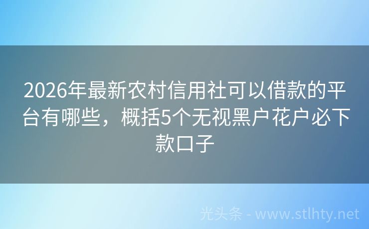2026年最新农村信用社可以借款的平台有哪些，概括5个无视黑户花户必下款口子