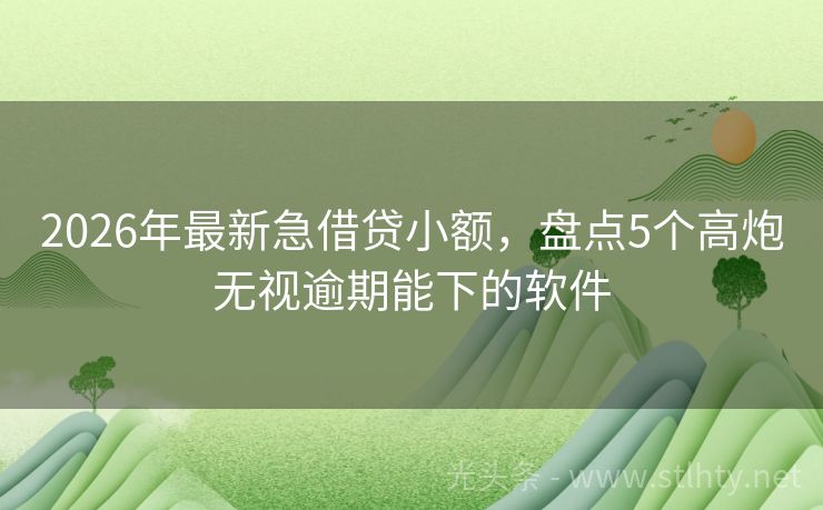 2026年最新急借贷小额，盘点5个高炮无视逾期能下的软件
