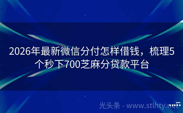 2026年最新微信分付怎样借钱，梳理5个秒下700芝麻分贷款平台