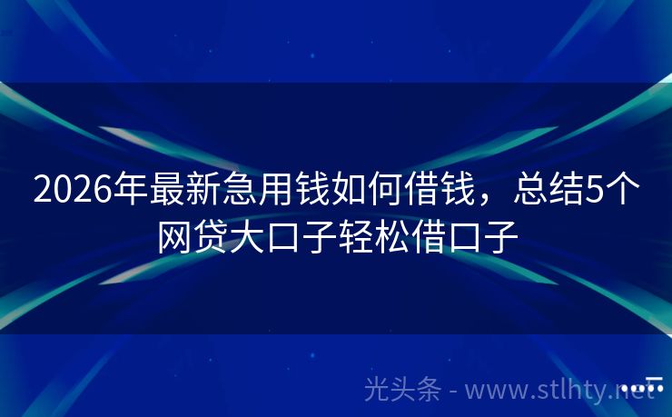 2026年最新急用钱如何借钱，总结5个网贷大口子轻松借口子