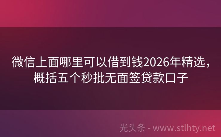 微信上面哪里可以借到钱2026年精选，概括五个秒批无面签贷款口子