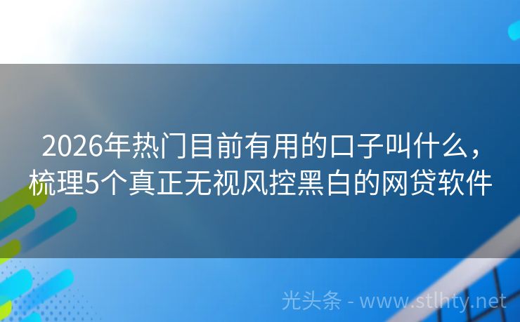 2026年热门目前有用的口子叫什么，梳理5个真正无视风控黑白的网贷软件