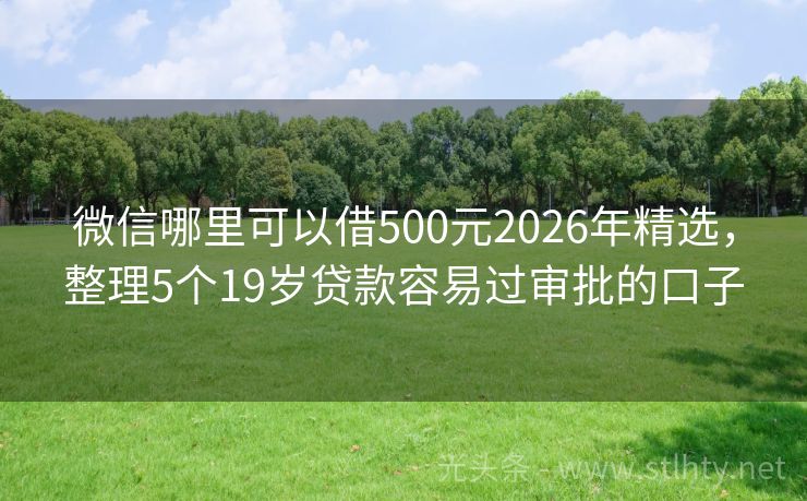 微信哪里可以借500元2026年精选，整理5个19岁贷款容易过审批的口子
