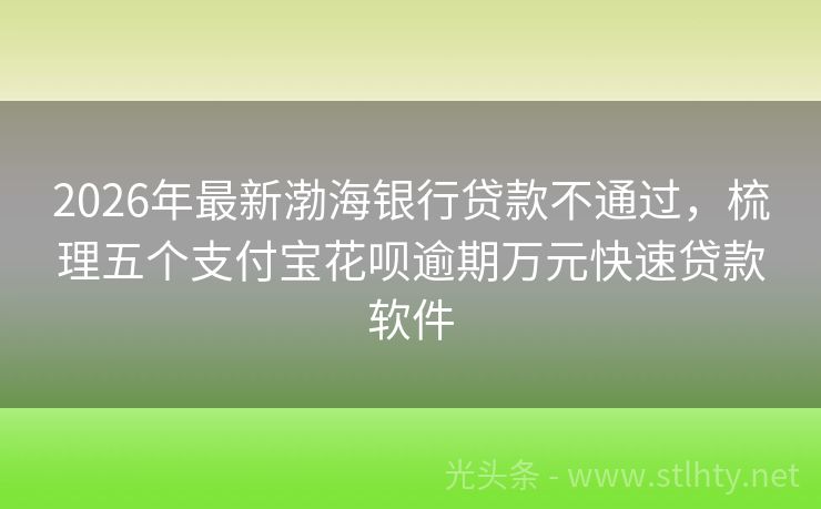 2026年最新渤海银行贷款不通过，梳理五个支付宝花呗逾期万元快速贷款软件
