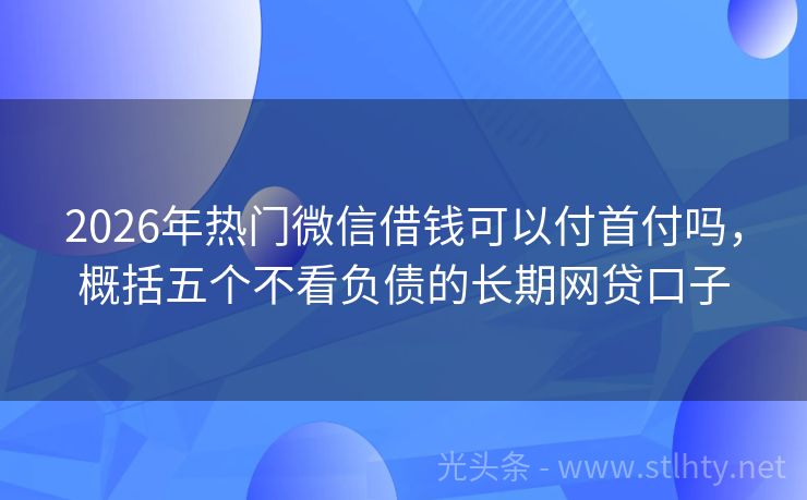2026年热门微信借钱可以付首付吗，概括五个不看负债的长期网贷口子
